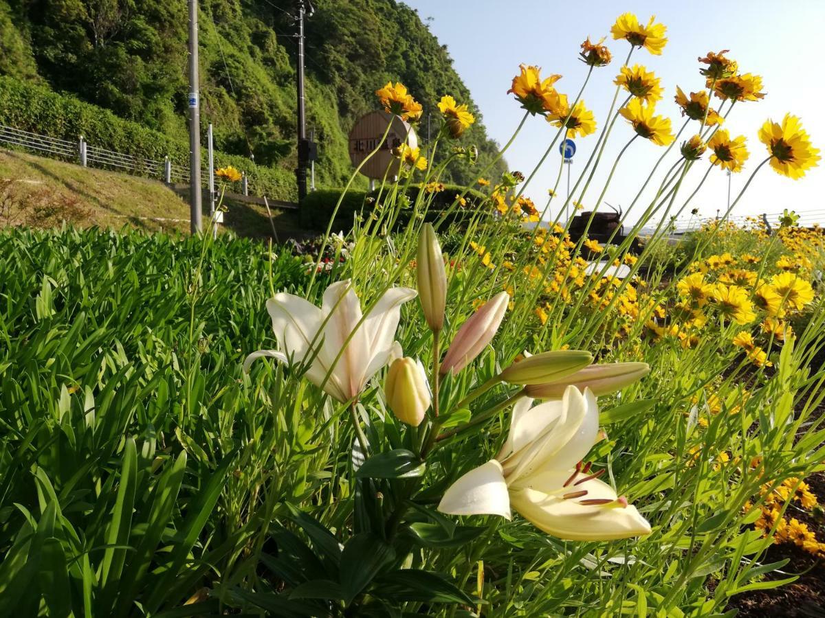 Izu Hokkawa Seaside Guesthouse 伊豆北川の家 Higashiizu Zewnętrze zdjęcie